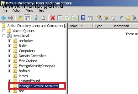 Yönetimsel Servis Hesapları (Managed Service Accounts) (MSA)