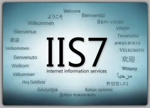 Windows Server 2008 R2 IIS  7.0  Web Sitesi Yayınlama ve DNS Host Name Kaydı